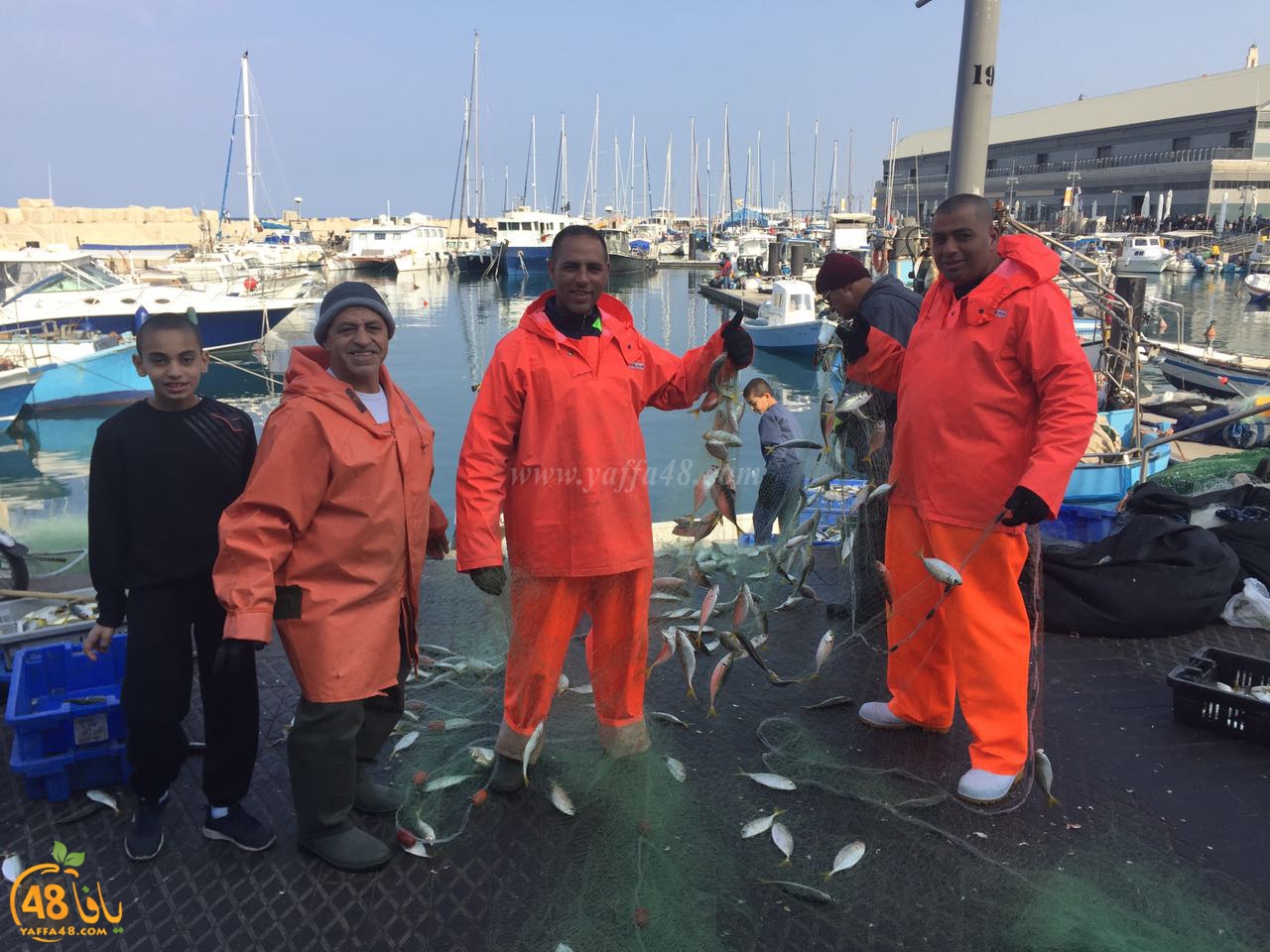 asmak torglos (10).jpg